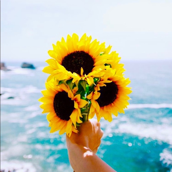 Meet your Posher, Laura - Picture 1 of 1